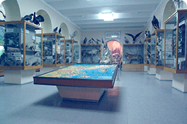 Exhibition / Presentation